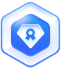 icon 2